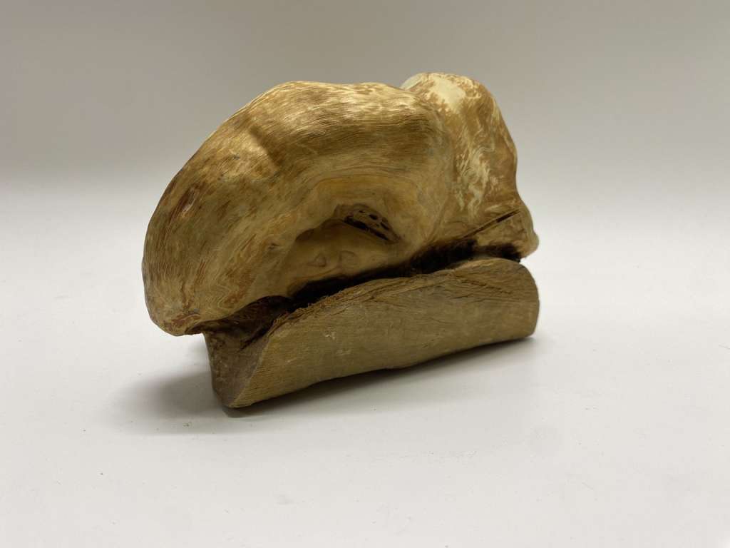 Сувенир из капа сувеля 