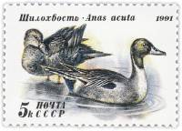 1991-055 Марка СССР 5 коп Шилохвость  300 шт ОПТ Утки III O