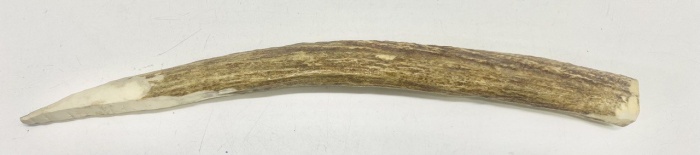 Рог натуральный Олений для поделок 39 см 