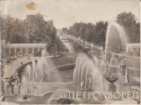 Книга Петродворец 1958 , Ленинград Мягкая обл. + суперобл 78 с. С ч/б илл