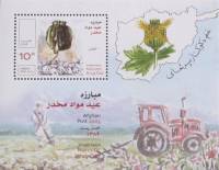 (№2003-121) Блок марок Афганистан 2003 год "Борьбе с наркотиками день", Гашеный