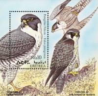 (№1998-7) Блок марок Эритрея 1998 год "Сапсан falco перегрина", Гашеный