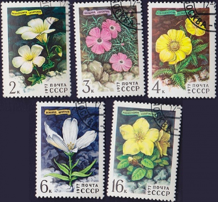 (1977-025-29) Серия Набор марок (5 шт) СССР    Цветы гор Сибири III Θ