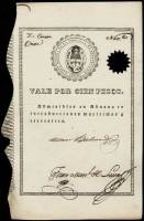 (№1820P-S106) Банкнота Аргентина 1820 год "100 Pesos"