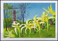 (№1989-107) Блок марок Сьерра-Леоне 1989 год "Cyrtorchis arcuata", Гашеный