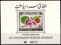 (№1962-30) Блок марок Афганистан 1962 год "Багряник siliquastrum", Гашеный