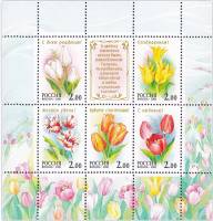 2001-013-17 Лист 5м + 1 куп Россия 2 руб x5  Флора Тюльпаны III O
