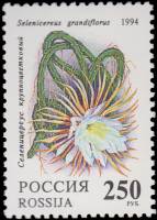 1994-009 Марка Россия 250 руб Селеницериус  50 шт ОПТ Комнатные растения Кактусы III O
