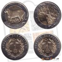 () Монета Турция 2012 год ""   UNC