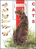 (№2000-118) Блок марок Афганистан 2000 год "Восточная короткошерстная кошка felis зато silvestris", 