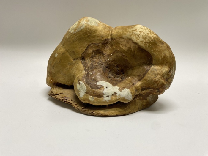 Сувенир из капа сувеля 