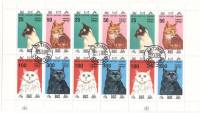 (1994-год) Лист (12 м 2х6) Батуми (Аджария) "Кошки"     III Θ