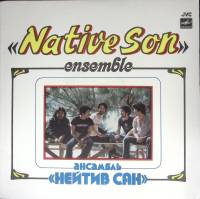 Пластинка виниловая Нейтив сан Фигурное плавание Мелодия 300 мм. Excellent