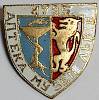 Значок Знак СССР "Музей-аптека Львов, 1735" На булавке 