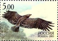 2005-032  Марка из блока Россия Большой подорлик  Природа III O