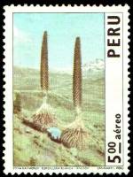 (№1974-952) Марка Перу 1974 год "Пейзажи и города Перу Пуйя Rymondi кактусы", Гашеная