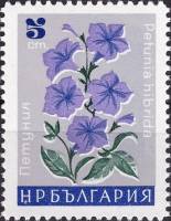 (1966-098) Марка Болгария "Петуния"   Садовые цветы III Θ