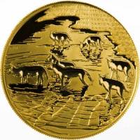 (№2012km525) Монета Южная Африка 2012 год 10 Rand (Натура - Африканская Дикая Собака)