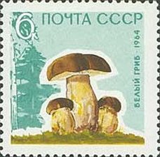 1964-154 Марка СССР Белые грибы Без лакирования   Грибы III O