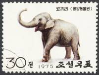 (1975-006) Марка Северная Корея "Азиатский Слон "   Зоопарк Пхеньяна III Θ