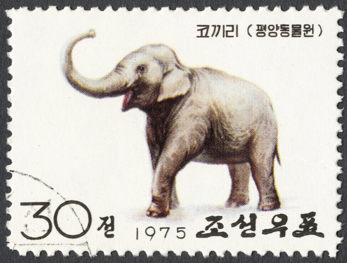 (1975-006) Марка Северная Корея &quot;Азиатский Слон &quot;   Зоопарк Пхеньяна III Θ