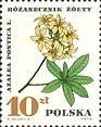 (1967-036) Марка Польша "Рододендрон жёлтый"   Лекарственные растения II Θ
