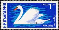 (1976-016) Марка Болгария "Лебедь-шипун"   Водоплавающие птицы III O