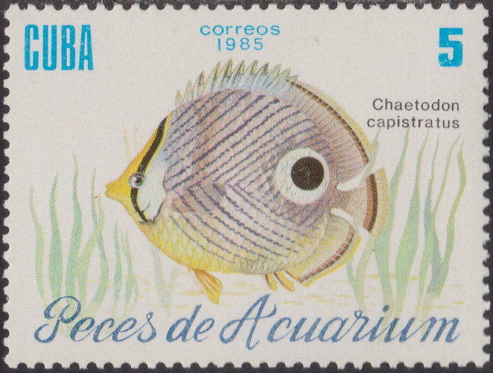 (1985-060) Сцепка (2 м) Куба &quot;Четырёхглазая рыба-бабочка&quot;    Рыбы III Θ