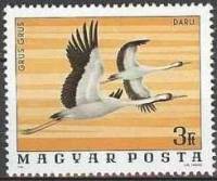 (1977-005) Марка Венгрия "Серый Журавль "    Птицы Национального парка Хортобадь II Θ