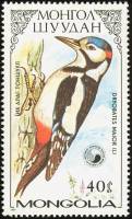 (1987-018) Марка Монголия "Большой пестрый дятел"    Птицы семейства дятловых III O