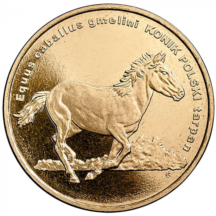 (258) Монета Польша 2014 год 2 злотых &quot;Польская верховая лошадь&quot;  Латунь  UNC