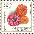 (1966-049) Марка Польша "Цинния"   Садовые цветы II Θ
