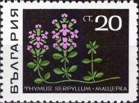 (1969-008) Марка Болгария "Чебрец (тимьян)"   Лекарственные растения III Θ