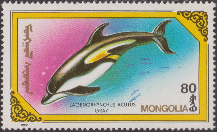 (1990-038) Марка Монголия &quot;Белобокий дельфин&quot;    Киты и дельфины III Θ