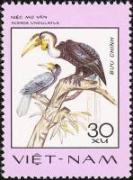 (1977-012) Марка Вьетнам "Волнистый калао"   Птицы III Θ