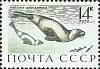 1971-077 Марка СССР Тюлень-крылатка   Млекопитающие - обитатели морей и океанов II O