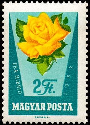 (1962-048) Марка Венгрия &quot;Желтая роза&quot; ,  III O