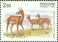 (1999-027) Марка Россия "Изюбрь-самка"   Олени III O