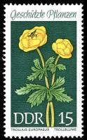 (1969-026) Марка Германия (ГДР) "Купальница европейская"    Растения под защитой III Θ