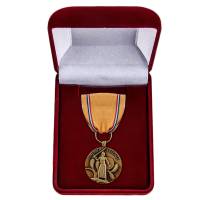 Копия: Медаль  "За оборону Америки"  в бархатном футляре