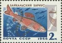 1966-092 Марка СССР Хариус   Промысловые рыбы Байкала II O