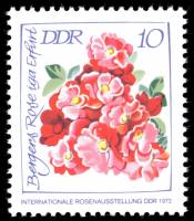 (1972-052) Марка Германия (ГДР) "Розы (2)"  перфорация 13½:13  Выставка роз II Θ