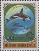 (1980-072) Марка Монголия "Косатка"    Антарктические животные III O