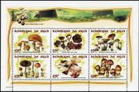(№1998-1542) Лист марок Нигер 1998 год "Грибы", Гашеный