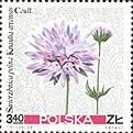 (1967-047) Марка Польша "Короставник полевой"   Полевые цветы II O