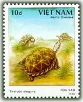 (1989-048) Марка Вьетнам "Звёздчатая черепаха"    Черепахи III Θ