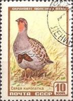 1957-029 Марка СССР Куропатка серая   Фауна III Θ