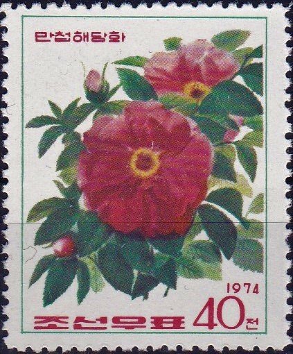 (1974-048) Марка Северная Корея &quot;Шиповник морщинистый&quot;   Розы III Θ