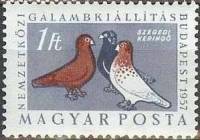 (1957-026) Марка Венгрия "Сегедский голубь"    Международная выставка голубей, Будапешт III Θ