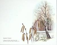Открытка "8 марта", худож. С. Баранов,  15*9,5 см., 1986 г., СССР